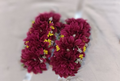 Crimson Bloom Gajra