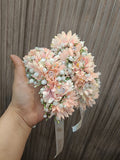 Pastel Beauty