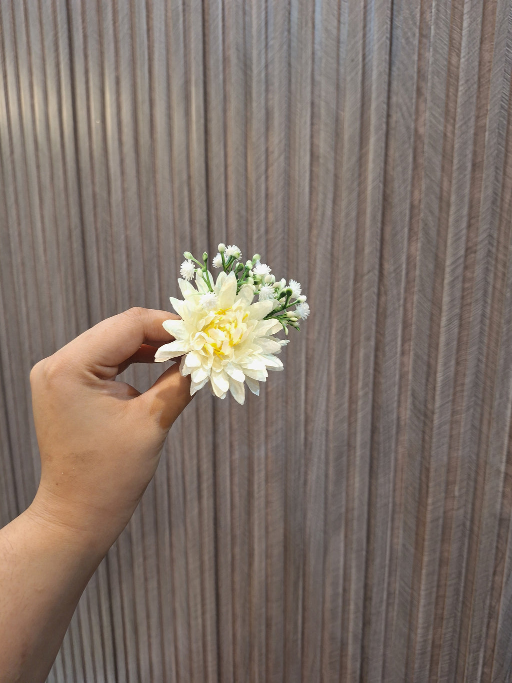Creamy petals